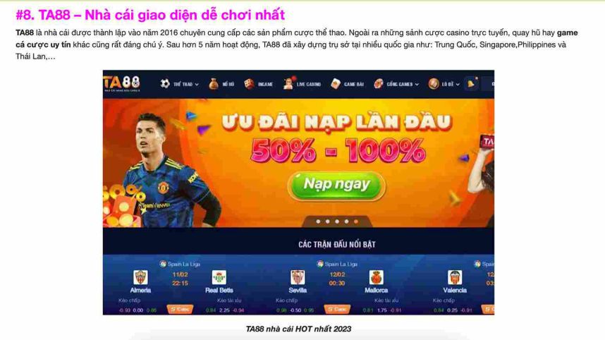 Cá cược các trận đá gà cấp Jd88 rất đơn giản và tiện lợi - Jd88